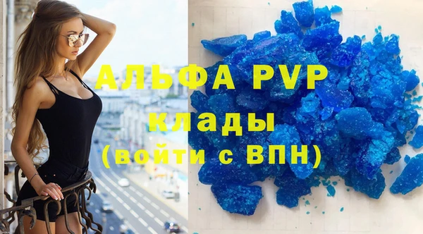 стафф Алзамай