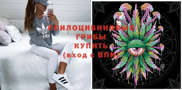 шишки Алексин