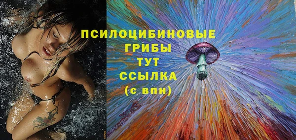 шишки Алексин