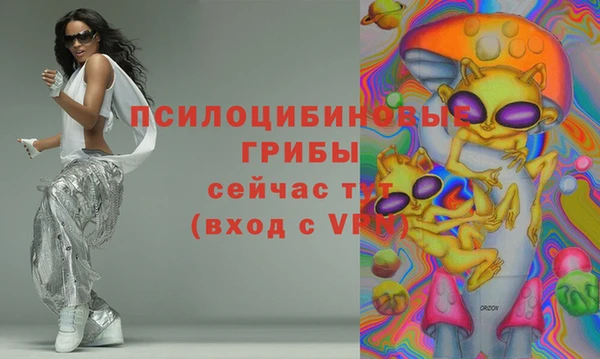 шишки Алексин